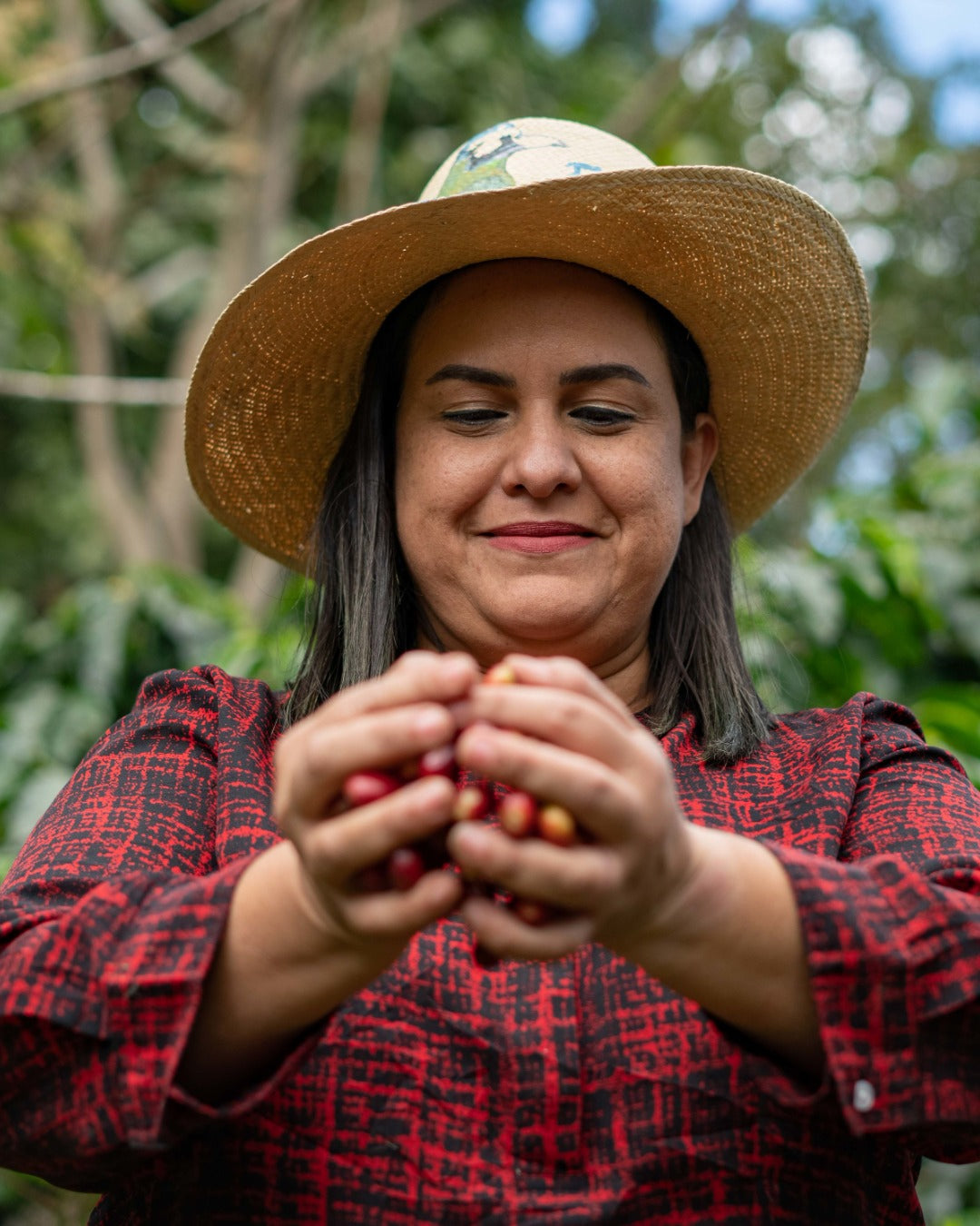 Honduras Monte Fresco Parainema Washed – Medium Roast Specialty Coffee, 3-Pack 2lb